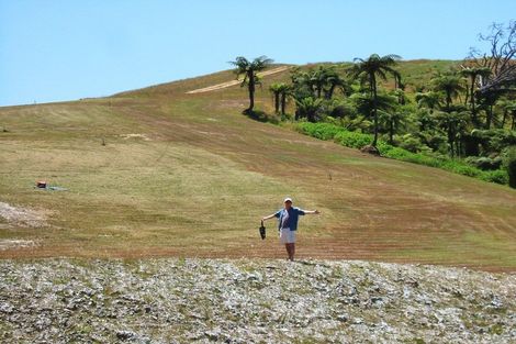 Photo of property in 139 Rangituia Street, Whangamata, 3691
