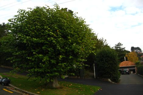 Photo of property in 69 Hazel Avenue, Caversham, Dunedin, 9012