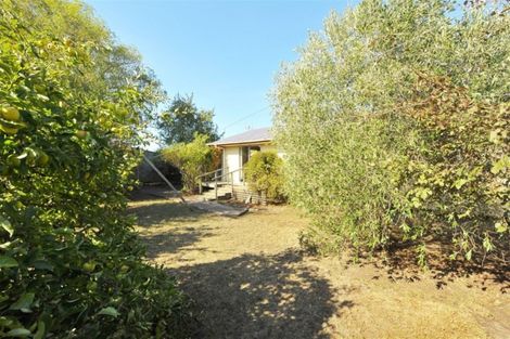 Photo of property in 3 Woodville Street, Leeston, 7632