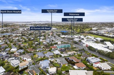 Photo of property in 43 Forrest Hill Road, Milford, Auckland, 0620
