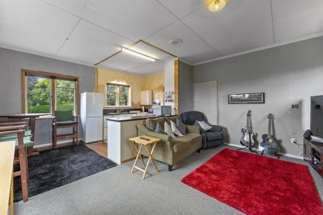 Photo of property in 17 Argyle Avenue, Levin, 5510