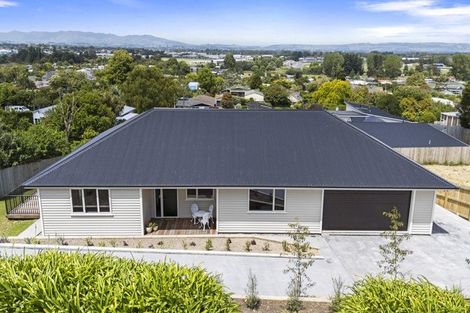 Photo of property in 6 Windsor Terrace, Feilding, 4702