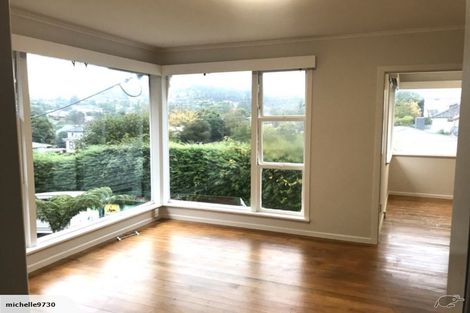 Photo of property in 44 Selwyn Crescent, Forrest Hill, Auckland, 0620