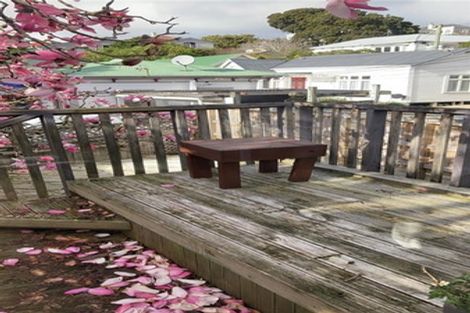 Photo of property in 15 Nairn Street, Mount Cook, Wellington, 6011