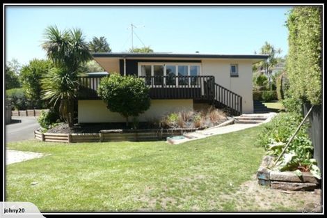 Photo of property in 8 Alison Street, Hamilton Lake, Hamilton, 3204