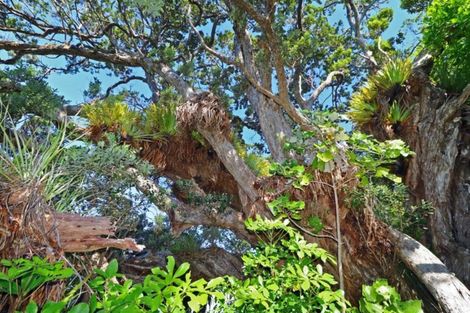 Photo of property in 27 Boulder Bay Drive, Tuateawa, Coromandel, 3583