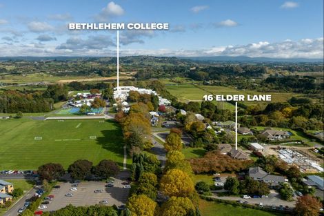 Photo of property in 16 Elder Lane, Bethlehem, Tauranga, 3110