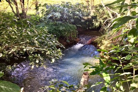 Photo of property in 518a Puketotara Road, Waipapa, Kerikeri, 0295