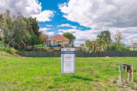 Photo of property in 48a Hereford Street, Springvale, Wanganui, 4501