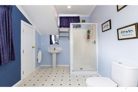 Photo of property in 246 Talbot Street, Geraldine, 7930