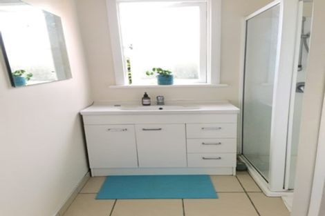 Photo of property in 45 Pacific Street, Roslyn, Dunedin, 9010