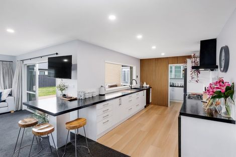 Photo of property in 16 Chimera Street, Pegasus, 7612