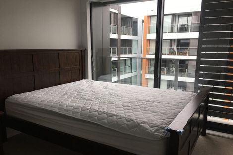 Photo of property in 502/10 Lion Place, Epsom, Auckland, 1023