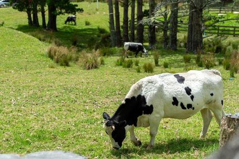 Photo of property in 585 Inland Road, Helensville, 0875