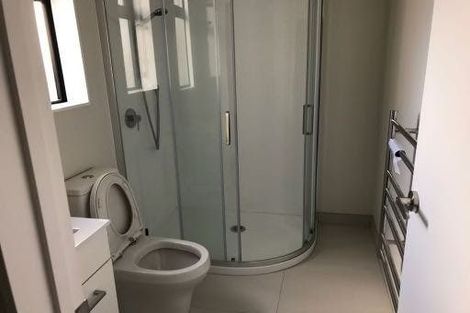 Photo of property in 9 Lemon Tree Lane, Flat Bush, Auckland, 2019