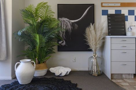 Photo of property in 61 Harrisfield Drive, Hairini, Tauranga, 3112