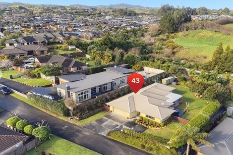 Photo of property in 43 Woodleigh Place, Ohauiti, Tauranga, 3112