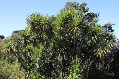 Photo of property in 56 Waihirere Drive, Tuateawa, Coromandel, 3583