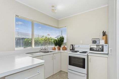 Photo of property in 12b Hayes Avenue, Gate Pa, Tauranga, 3112