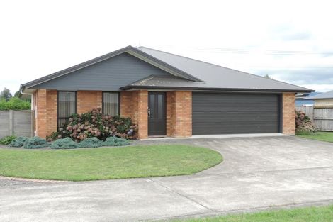 Photo of property in 36 Nikau Place, Matamata, 3400