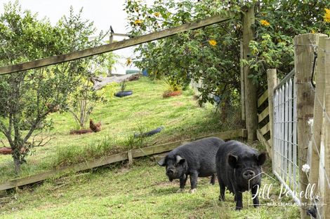 Photo of property in 611 Bickerstaffe Road, Maungaturoto, 0587