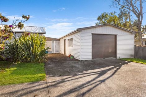 Photo of property in 19 Pukatea Street, Inglewood, 4330