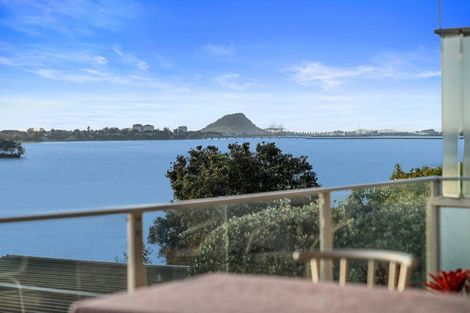 Photo of property in 52 Vine Avenue, Maungatapu, Tauranga, 3112