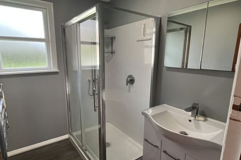 Photo of property in 43 Nottingham Avenue, Awapuni, Palmerston North, 4412