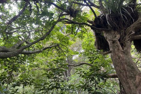 Photo of property in 568 Brown Road, Mangawhai, Kaiwaka, 0573