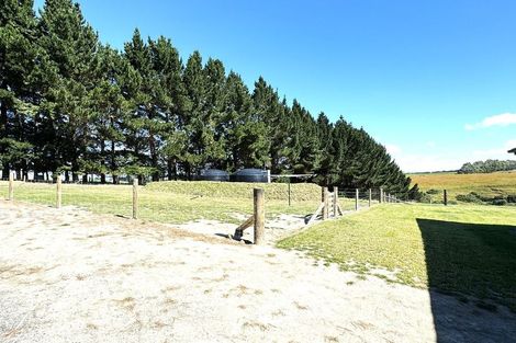 Photo of property in 64 Cameron Road, Hillend, Balclutha, 9272