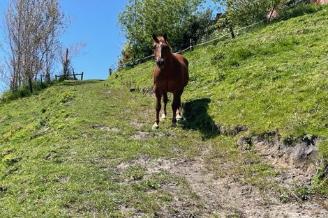 Photo of property in 72 Tirohanga Road, Tirohanga, Opotiki, 3197