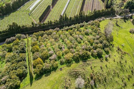 Photo of property in 231 Walford Road, Aongatete, Katikati, 3181