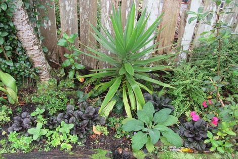 Photo of property in 81 Ward Street, Cobden, Greymouth, 7802