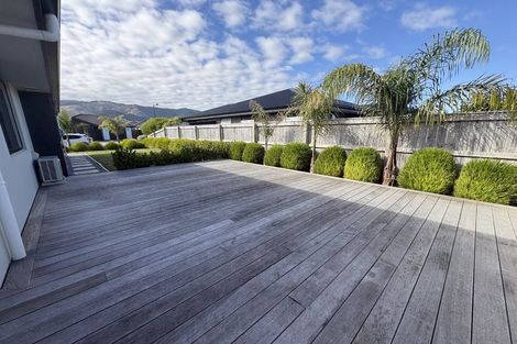 Photo of property in 22 Bedfont Street, 22 Bedfont Street, Richmond, 7020