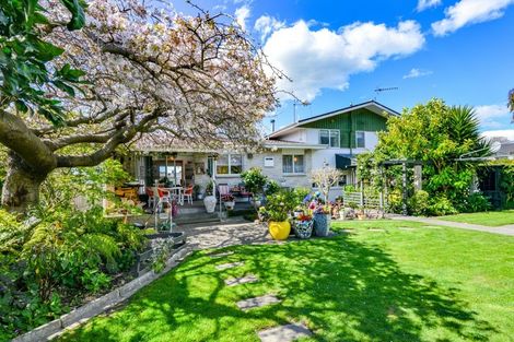 Photo of property in 115 Flaxmere Avenue, Flaxmere, Hastings, 4120