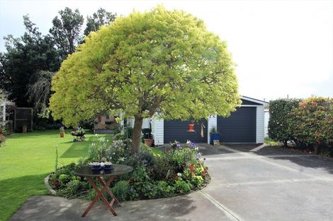 Photo of property in 19 Bowen Street, Woodville, 4920