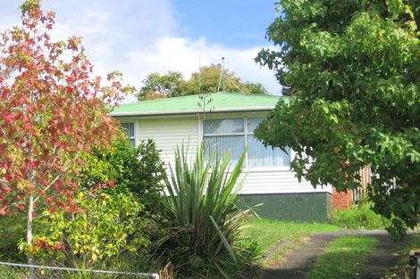 Photo of property in 14 Kereru Street, Henderson, Auckland, 0612