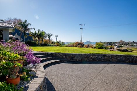 Photo of property in 293 Plummers Point Road, Whakamarama, Tauranga, 3172
