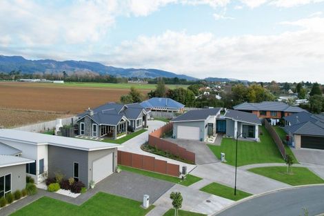 Photo of property in 26 Phoenix Palms Grove, Levin, 5510