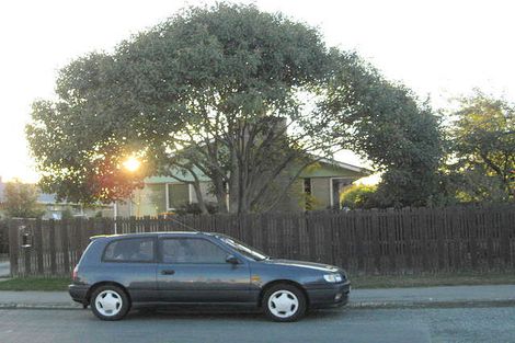 Photo of property in 50 Seadown Road, Washdyke, Timaru, 7910