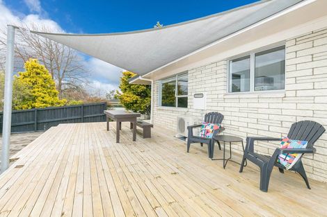 Photo of property in 42a Alison Street, Hamilton Lake, Hamilton, 3204