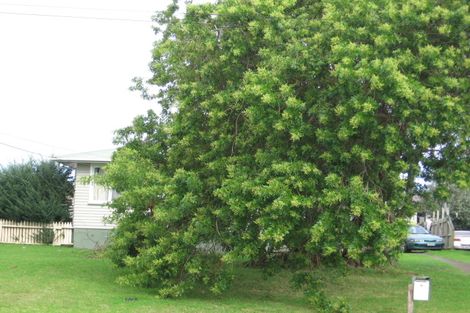 Photo of property in 5 Larnoch Road, Henderson, Auckland, 0610