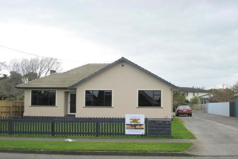Photo of property in 22 York Street, Levin, 5510