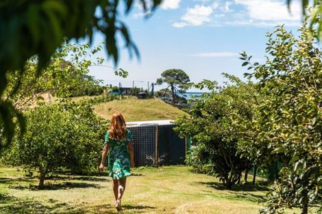 Photo of property in 265 Hot Springs Road, Tahawai, Katikati, 3178