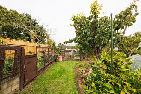 Photo of property in 67 Winchester Street, Ashhurst, 4810