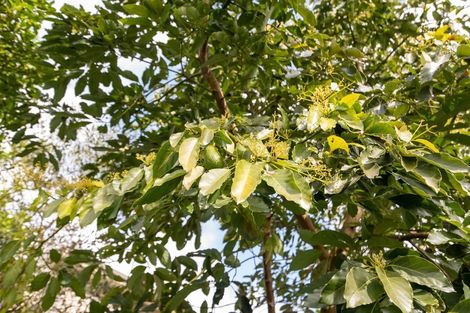 Photo of property in 79 Pegasus Drive, Sunnybrook, Rotorua, 3015