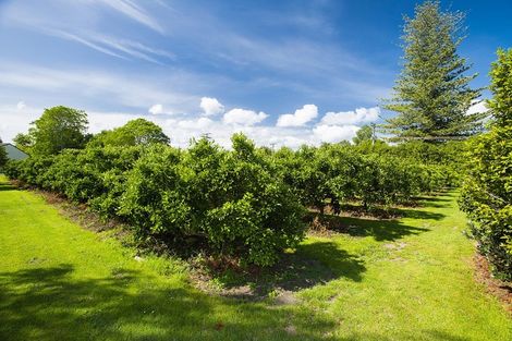 Photo of property in 42 Whitmore Road, Ormond, Gisborne, 4071