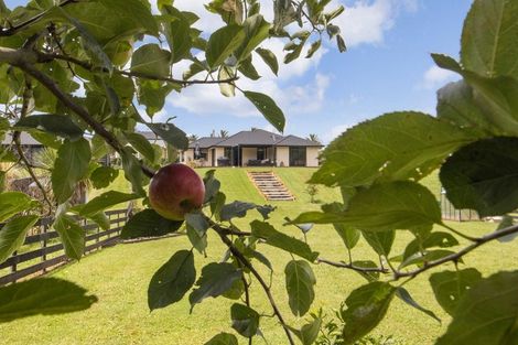 Photo of property in 1 Karamu Place, Waihi, 3682