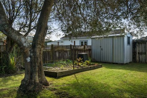 Photo of property in 25c Mackay Street, Waihi, 3610