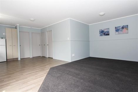 Photo of property in 55 York Street, Hamilton East, Hamilton, 3216